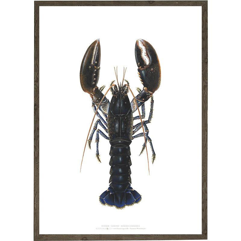 Poster Hummer