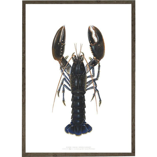 Poster Hummer