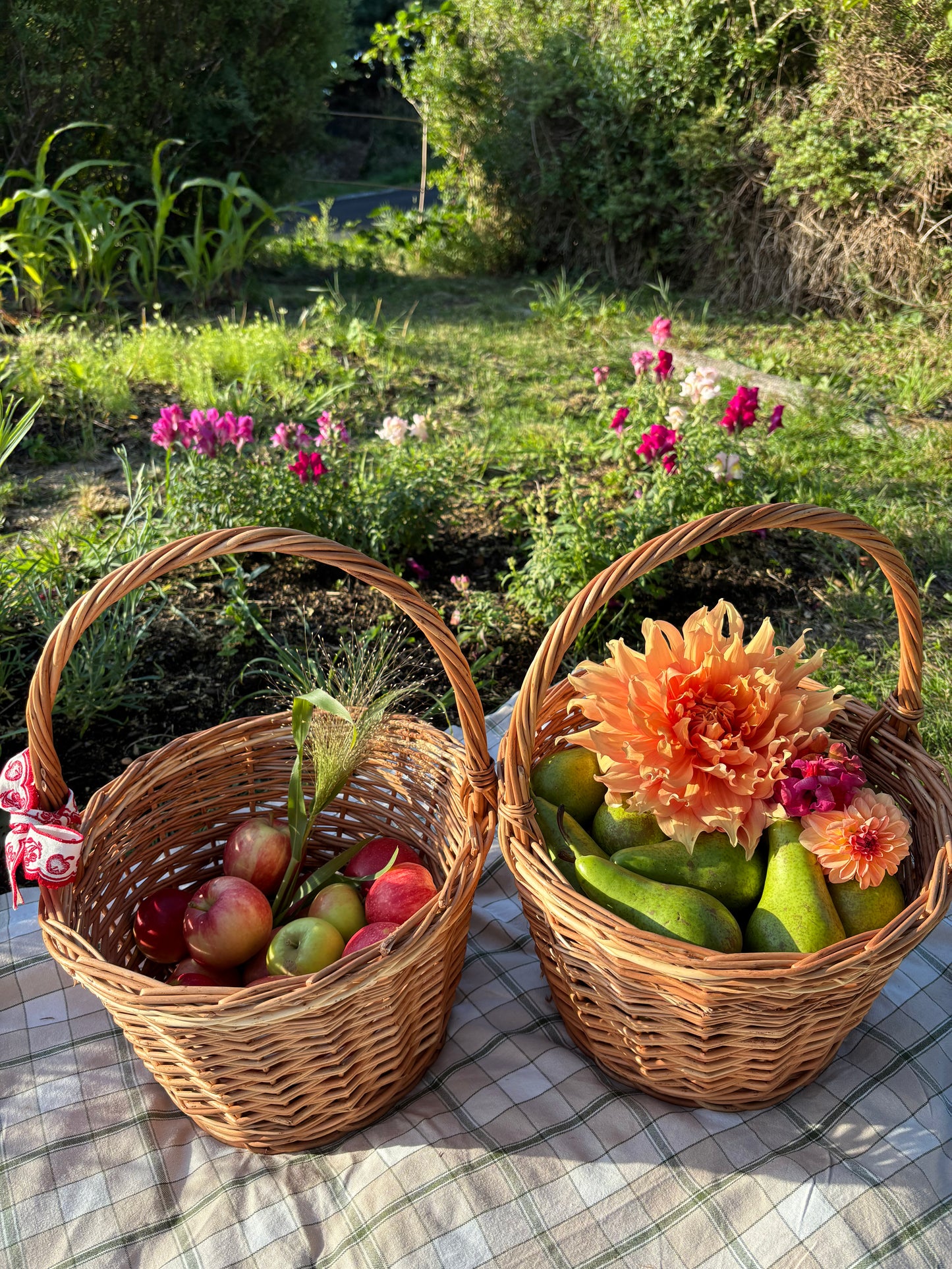 Äpple & Päronkorg i Pil