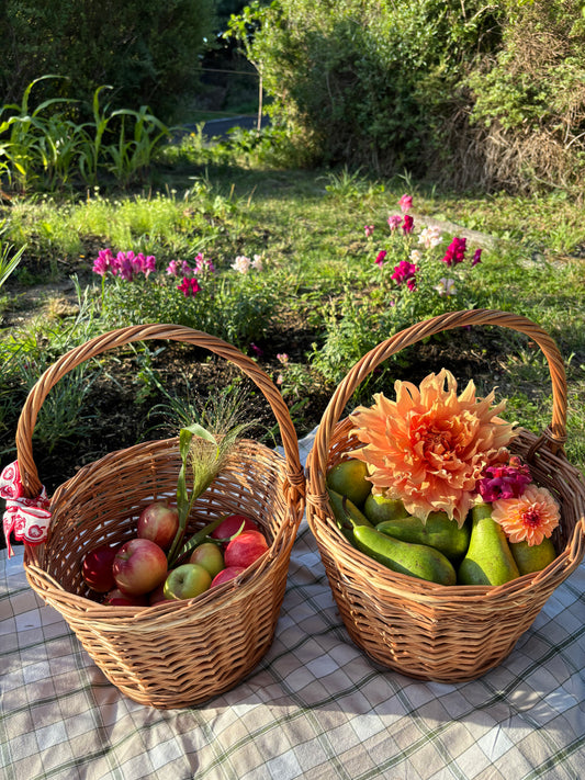 Äpple & Päronkorg i Pil