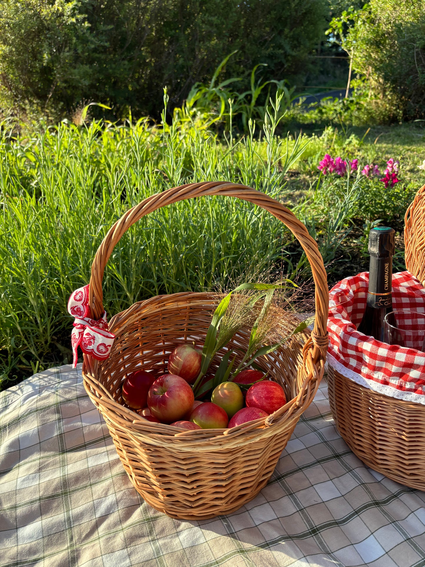 Äpple & Päronkorg i Pil