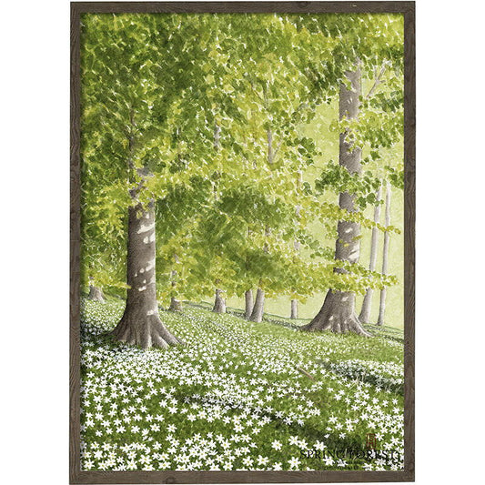 Poster Spring forest