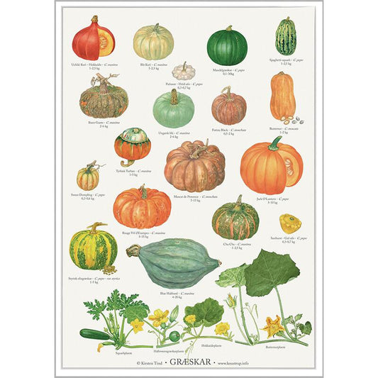 Poster Pumpor